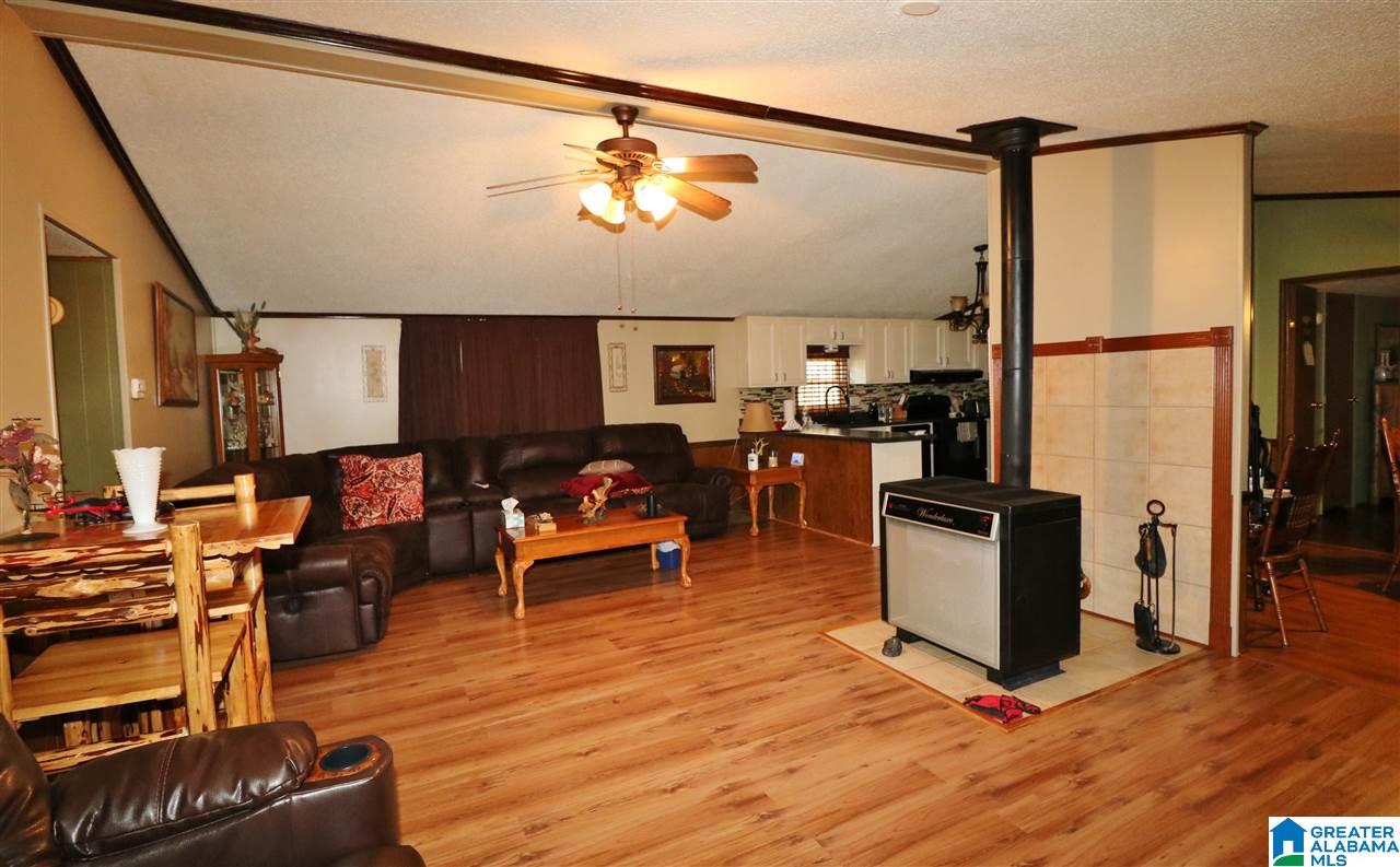 595 Fincher Road Pell City, AL 35128 - Photo 2 of 47