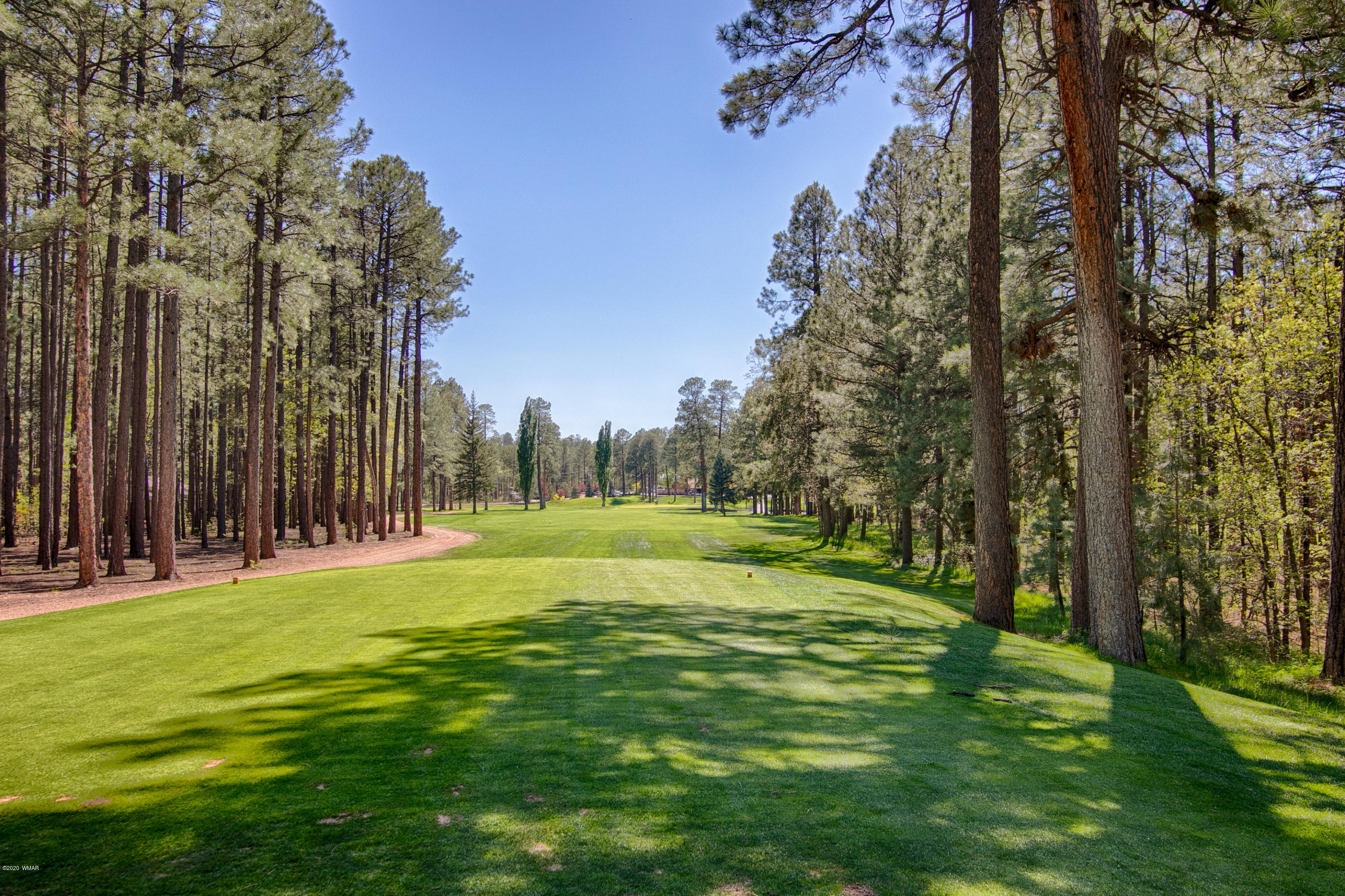 7162 Indian Bend Road Pinetop, AZ 85935 - Photo 7 of 34