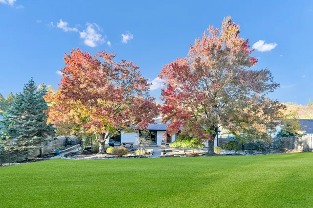 a view of a garden with a bench