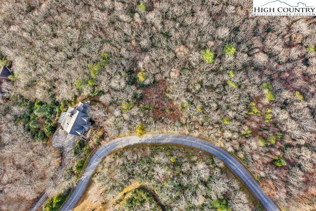 Lot 11 Greystone Drive Boone, NC 28607 - Photo 11 of 29 a view of a yard with a tree
