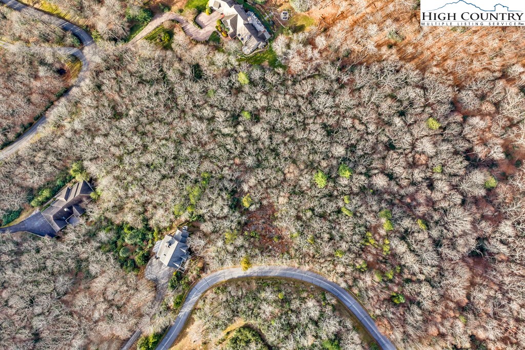 Lot 11 Greystone Drive Boone, NC 28607 - Photo 13 of 29 a picture of a tree