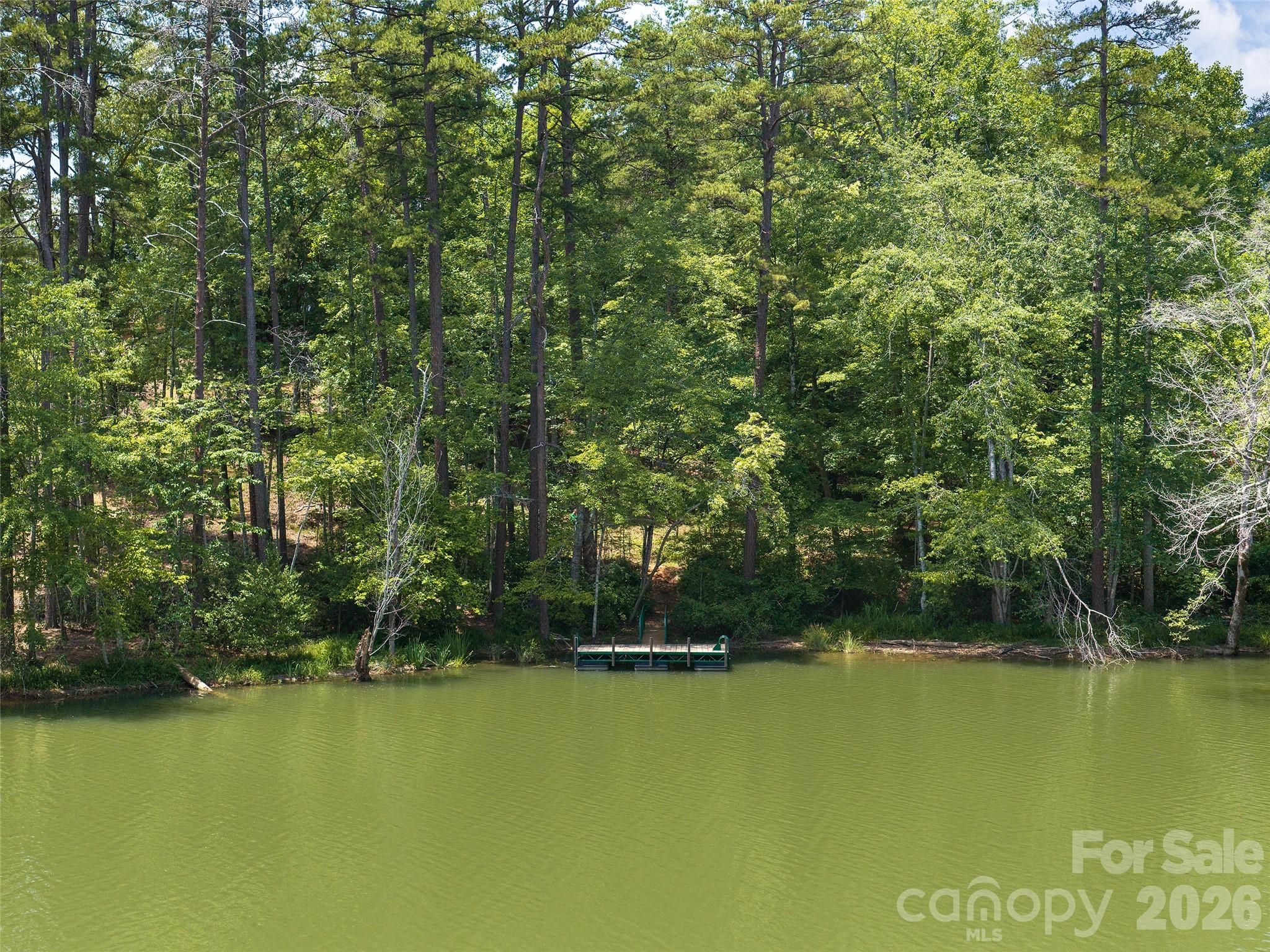 Lot 14 Parkway North Rd Mill Spring, Unit 14 Mill Spring, NC 28756 - Photo 4 of 14