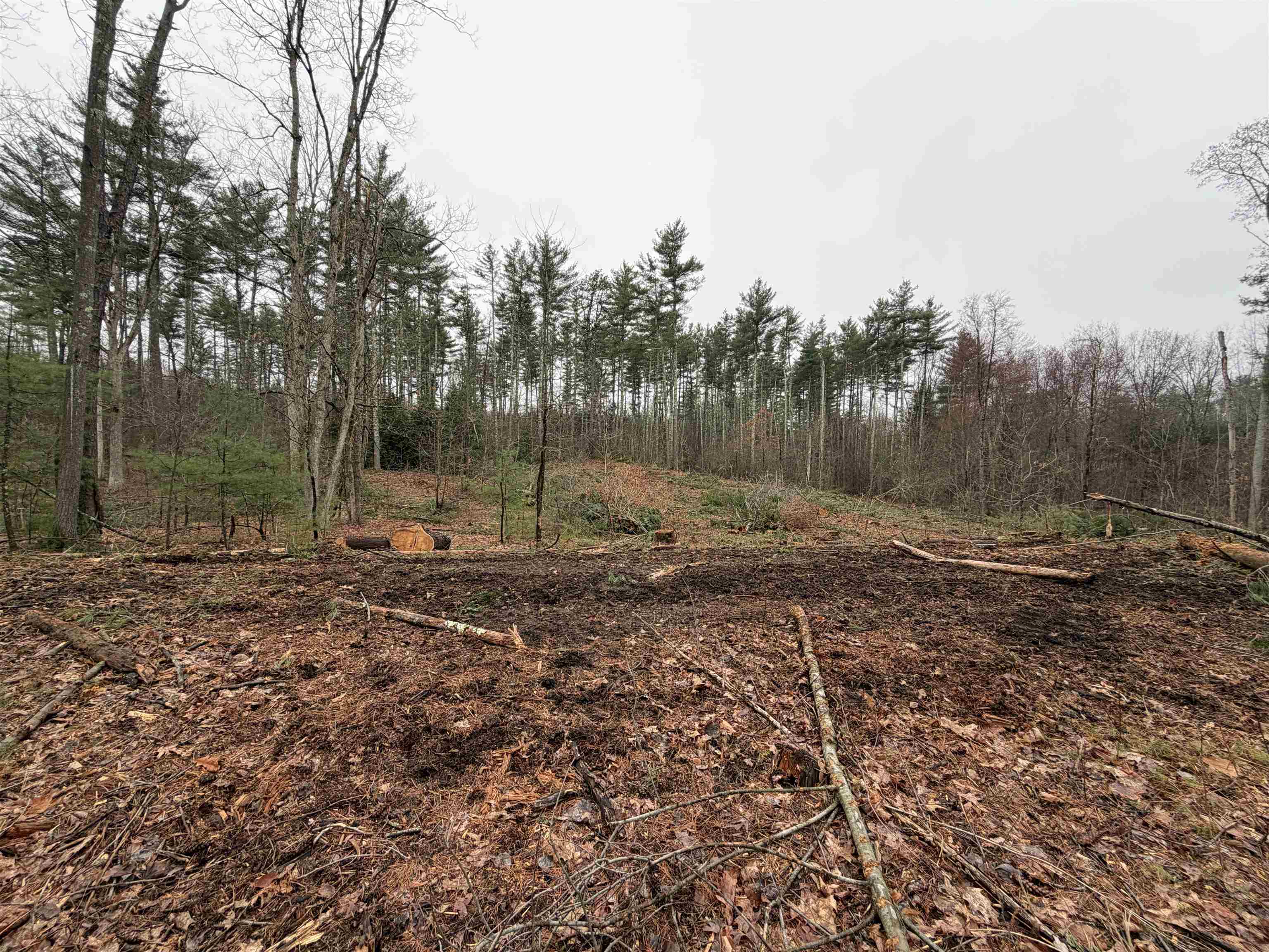 46-52-3 Witches Spring Road Hollis, NH 03049 - Photo 2 of 2