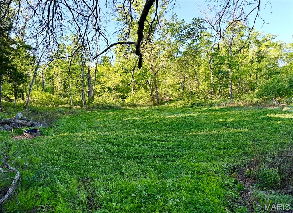 Tbd Van Horn Road Bland, MO 65014 - Photo 16 of 47