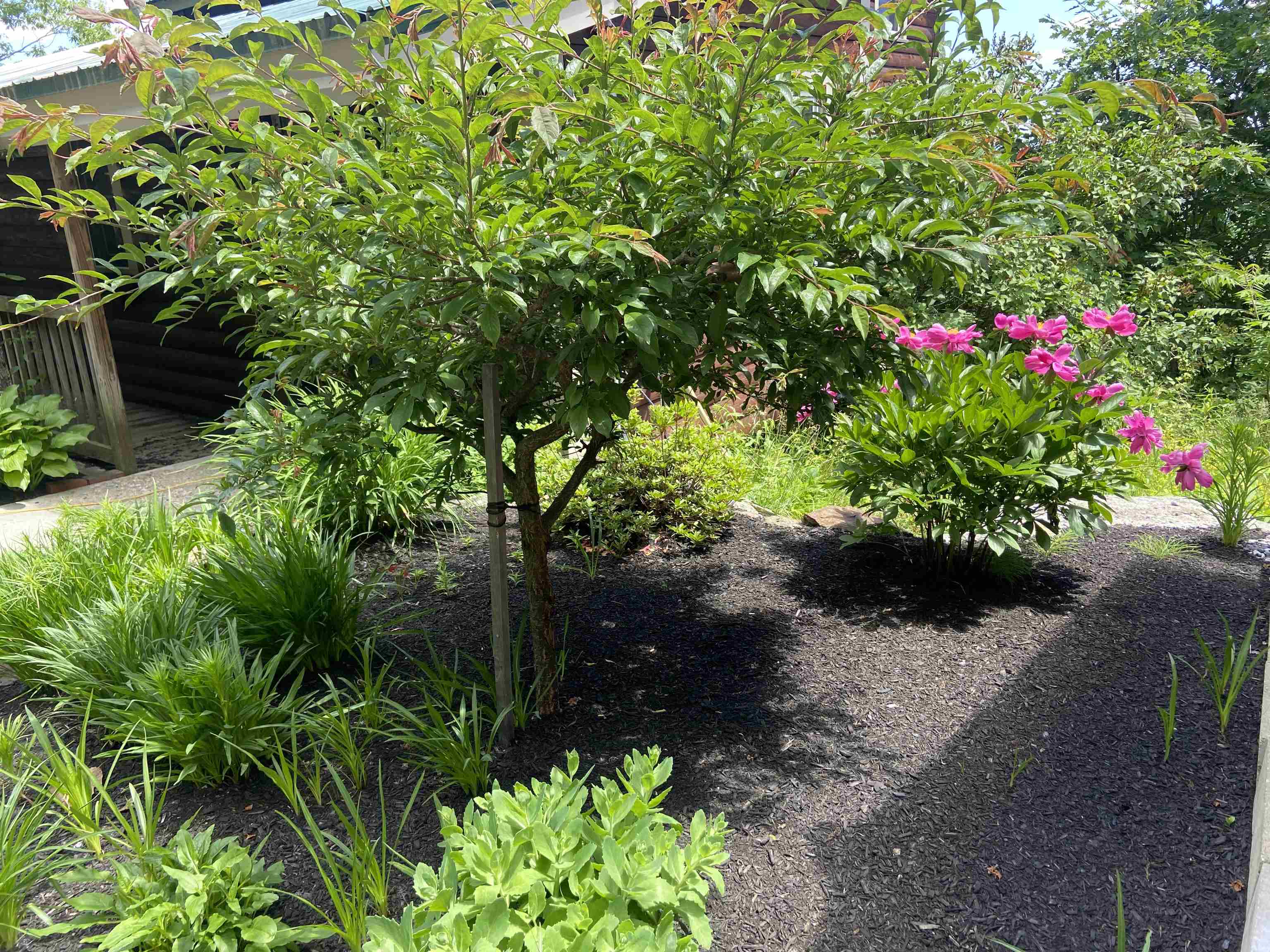 30 Crescent Lane Goffstown, NH 03045 - Photo 8 of 51