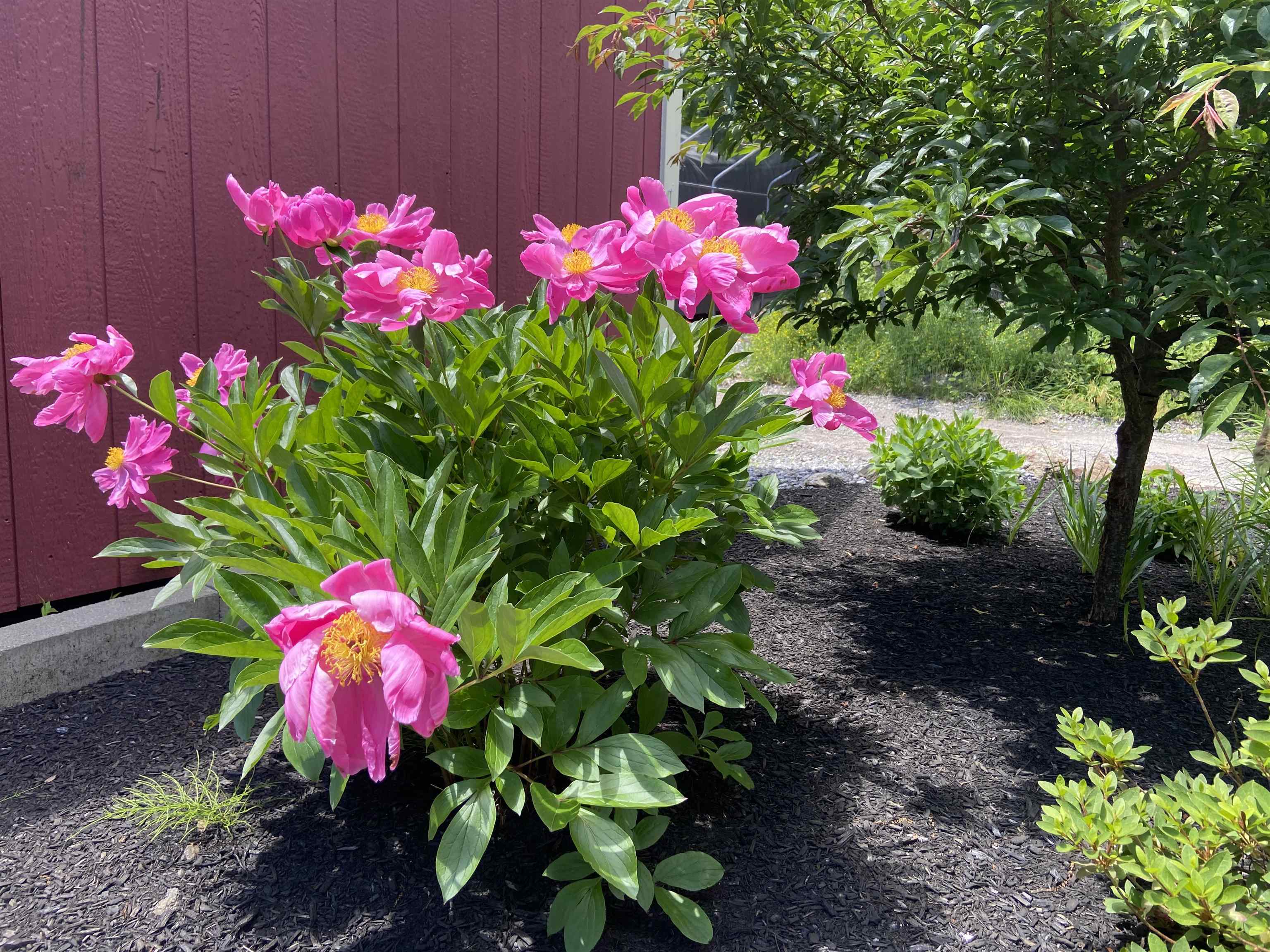 30 Crescent Lane Goffstown, NH 03045 - Photo 9 of 51