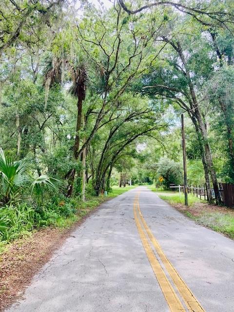 407 Raulerson Road Seville, FL 32190 - Photo 5 of 7 a view of a yard with plants and trees