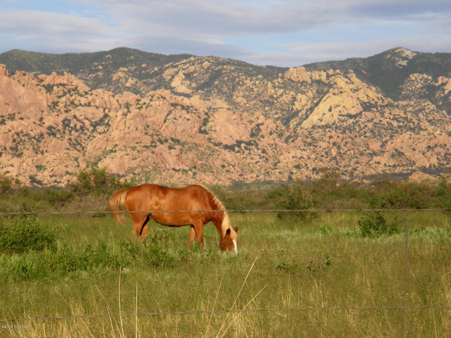 90 South Kino Road, Unit 90 St. David, AZ 85630 - Photo 8 of 16