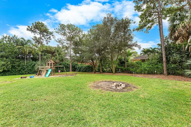 a view of a field with a tree