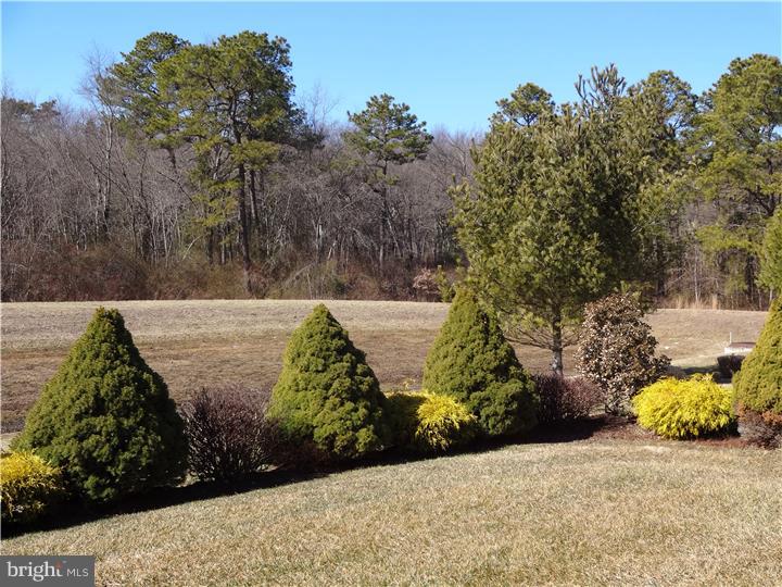 68 Mayfair Road Southampton, NJ 08088 - Photo 7 of 7 Gallery Image 7