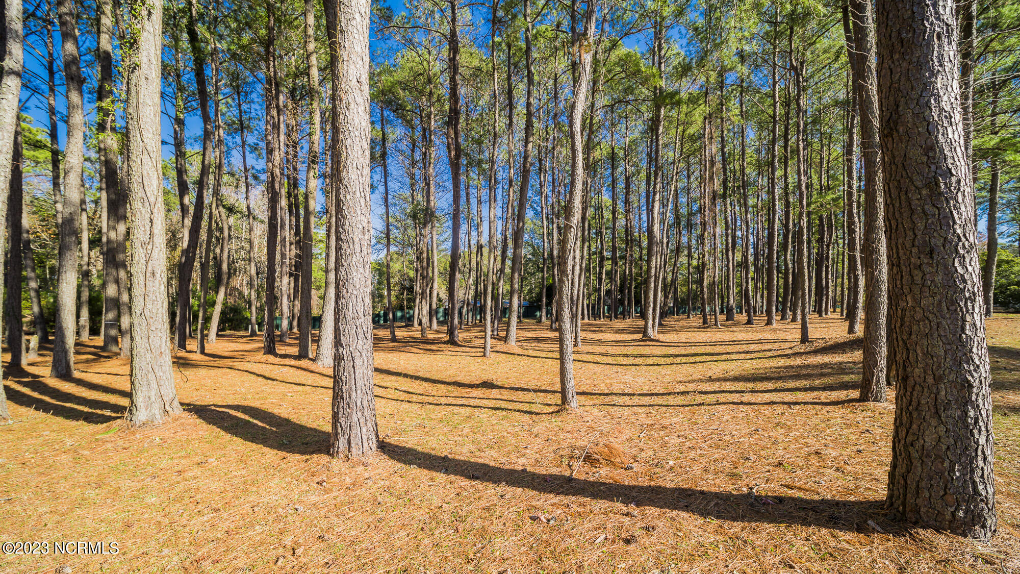 9158-399 East Lake Road Calabash, NC 28467 - Photo 1 of 20 KM206731