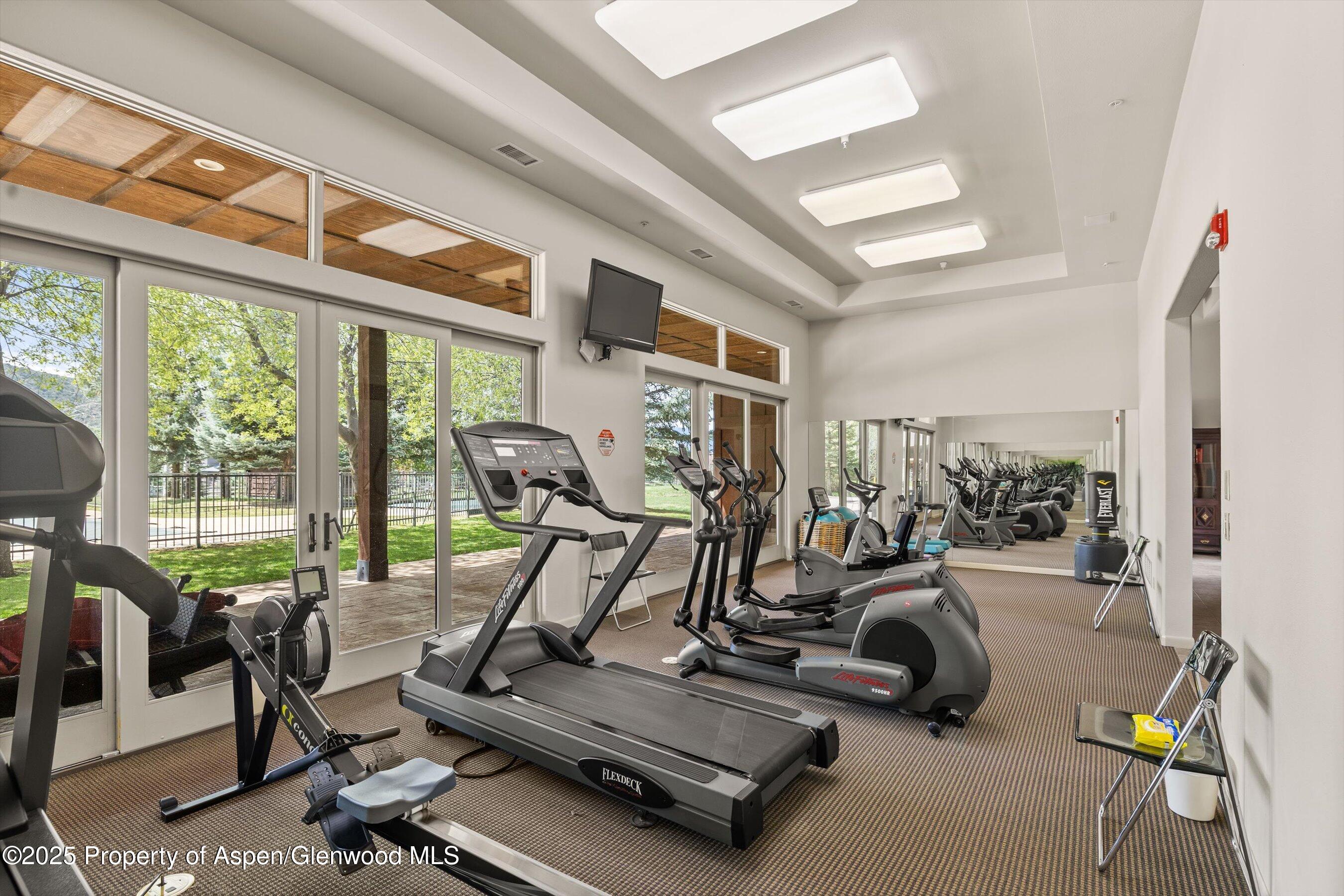 160 Equestrian Way Carbondale, CO 81623 - Photo 33 of 36 a view of a room with gym equipment