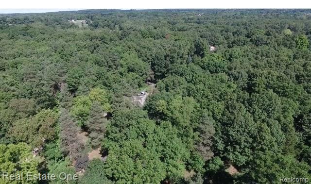 L5 Addaleen Road Highland, MI 48357 - Photo 10 of 15