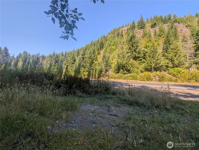 a view of a yard with a trees