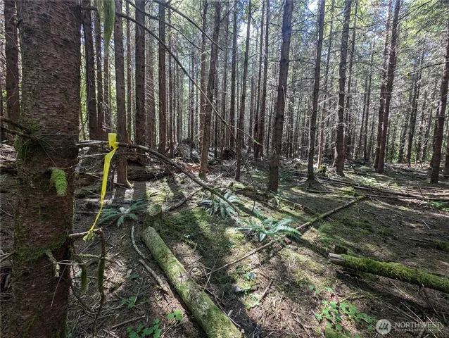 a view of outdoor space with wooden fence