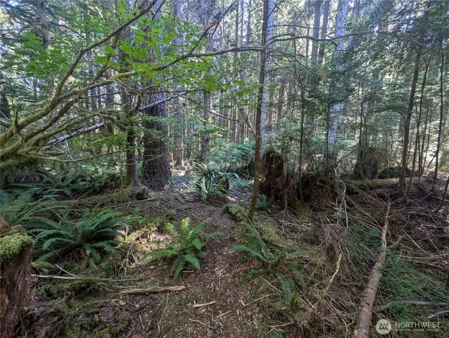 a view of outdoor space and green space