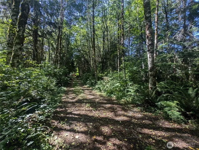 a view of outdoor space and trees