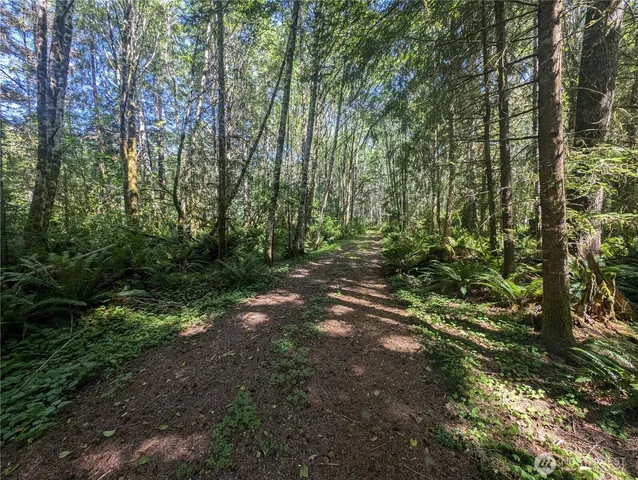 a view of outdoor space and trees