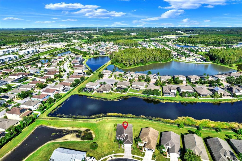 1851 Arbor Knoll Loop Trinity, FL 34655 - Photo 30 of 49