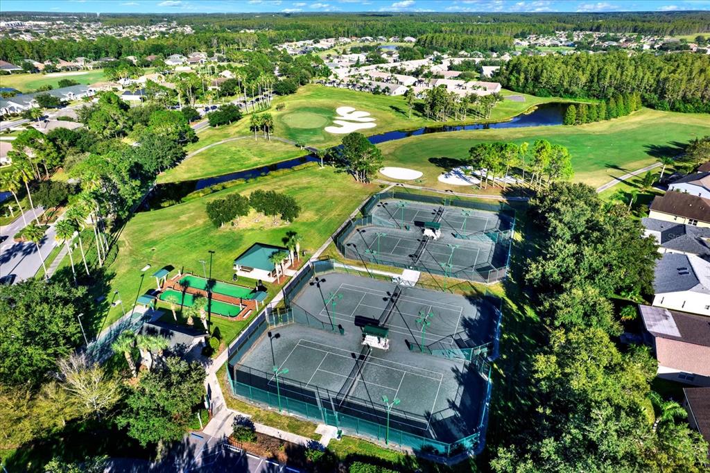 1851 Arbor Knoll Loop Trinity, FL 34655 - Photo 33 of 49