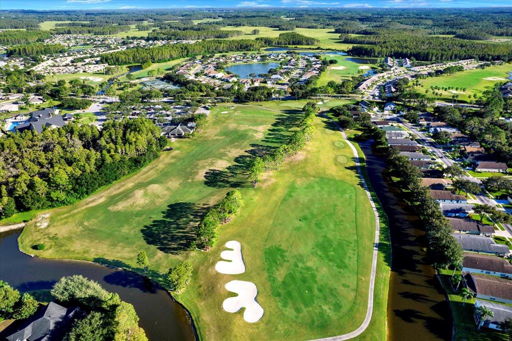 1851 Arbor Knoll Loop Trinity, FL 34655 - Photo 34 of 49