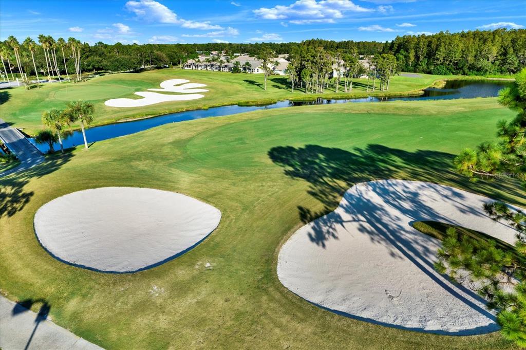 1851 Arbor Knoll Loop Trinity, FL 34655 - Photo 35 of 49