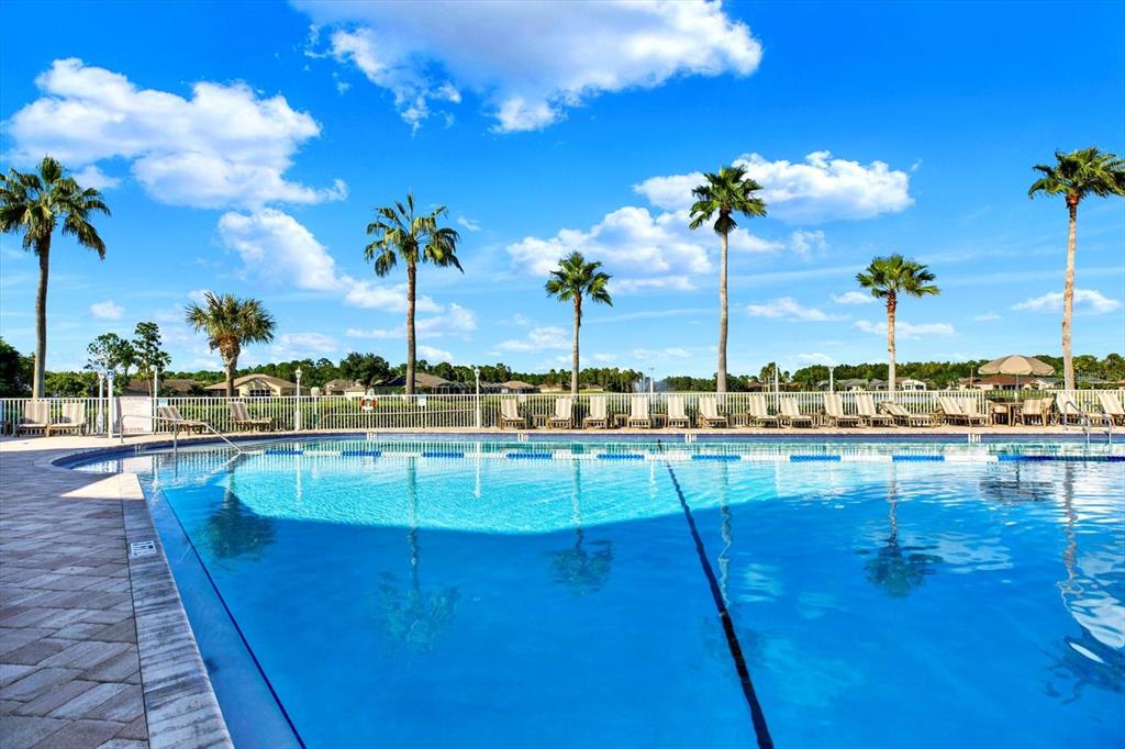 1851 Arbor Knoll Loop Trinity, FL 34655 - Photo 36 of 49