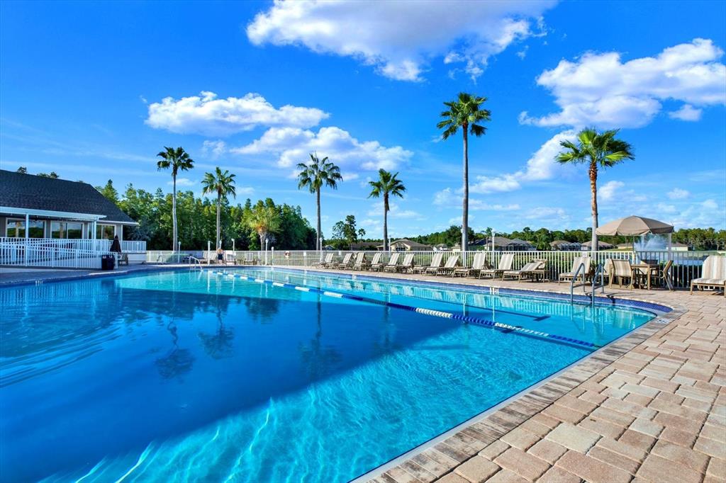 1851 Arbor Knoll Loop Trinity, FL 34655 - Photo 37 of 49