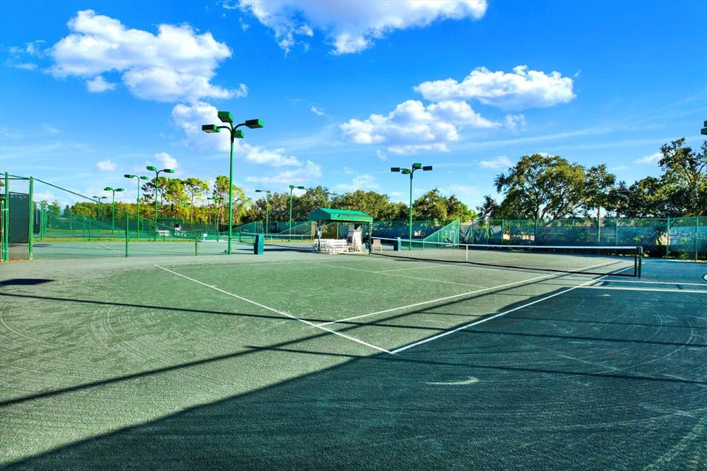 1851 Arbor Knoll Loop Trinity, FL 34655 - Photo 39 of 49