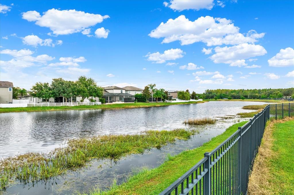 1851 Arbor Knoll Loop Trinity, FL 34655 - Photo 49 of 49