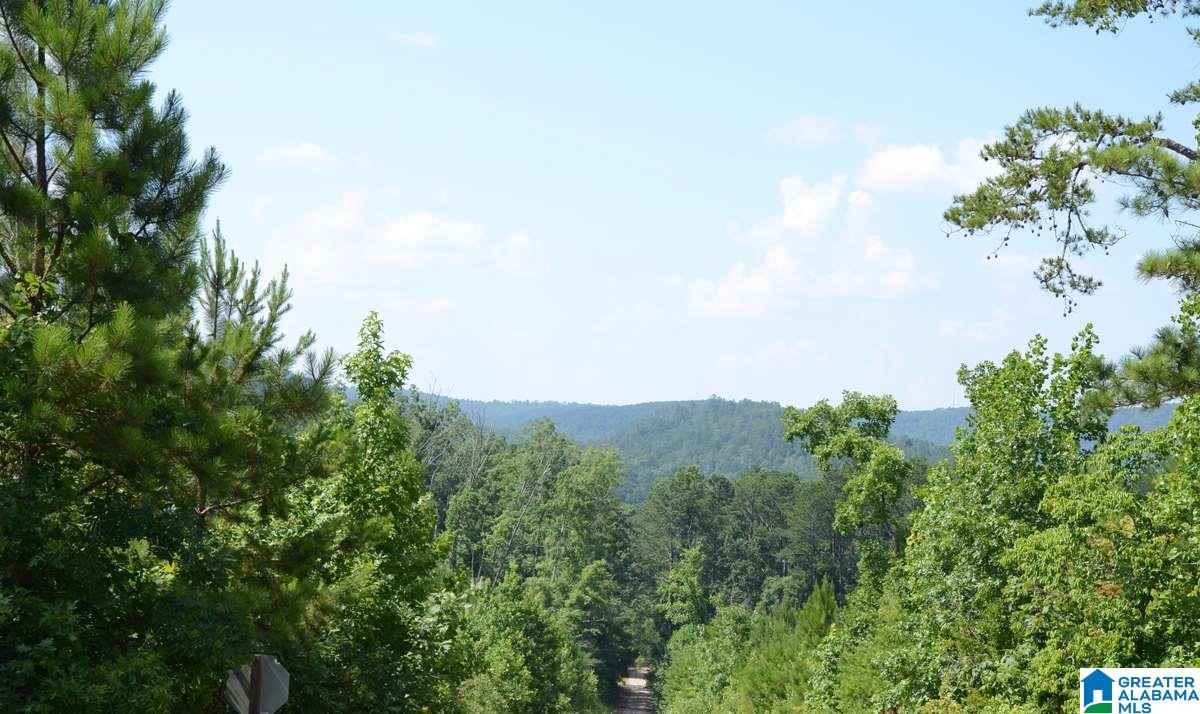 10098 County Road 55, Unit 24 ACRES Fruithurst, AL 36262 - Photo 12 of 27