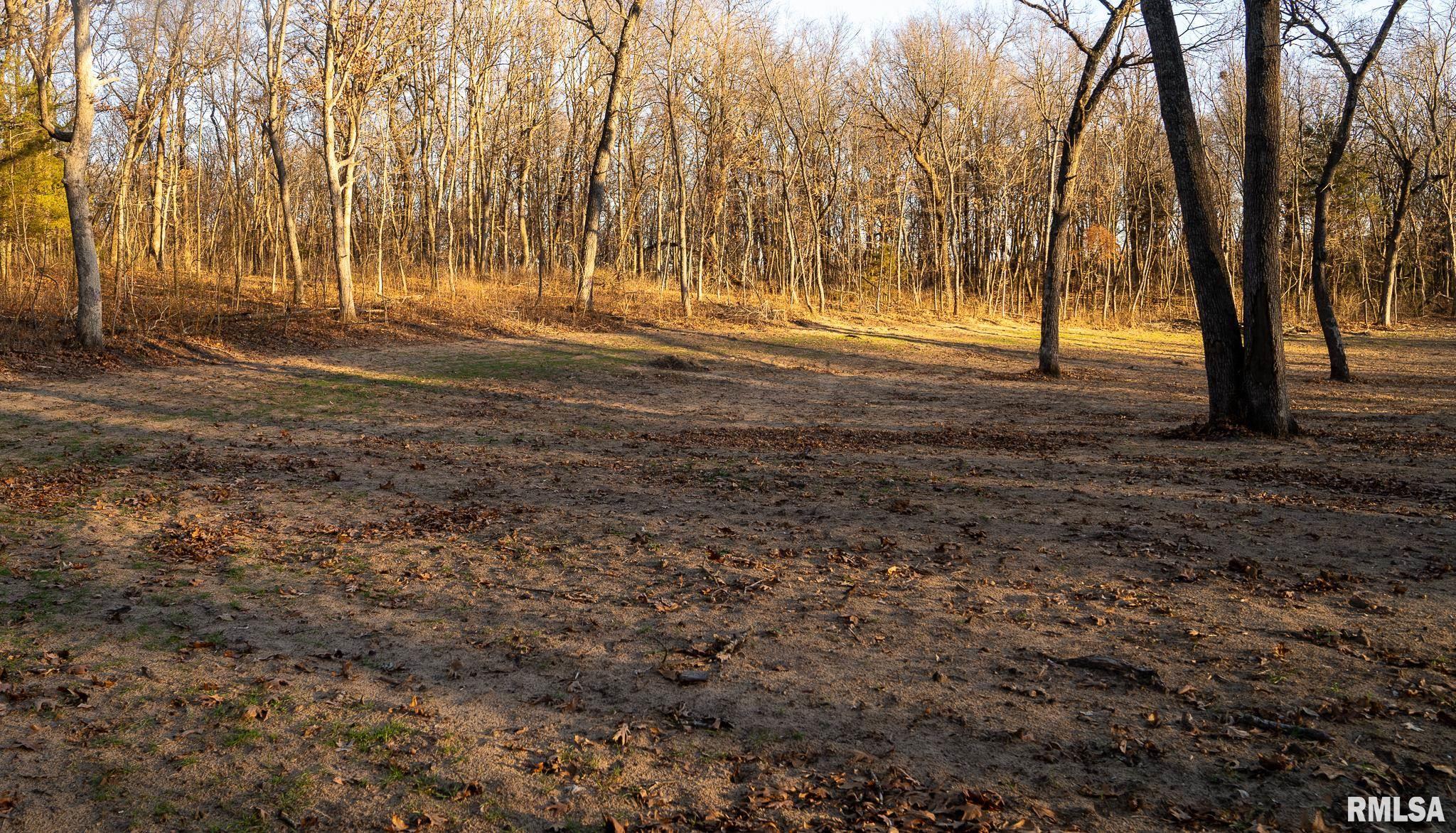 1 East 1050 Road Kilbourne, IL 62655 - Photo 19 of 36