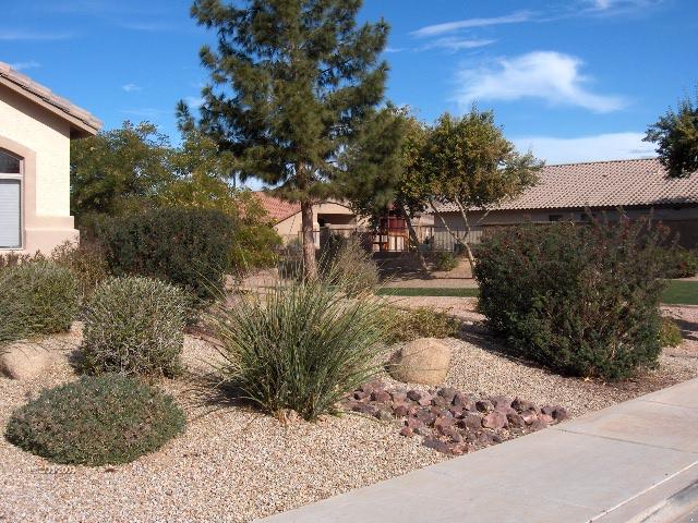 3886 East Baranca Road Gilbert, AZ 85297 - Photo 3 of 12 front and green belt