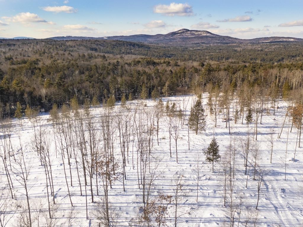 Woodward Hill Road Francestown, NH 03043 - Photo 4 of 16