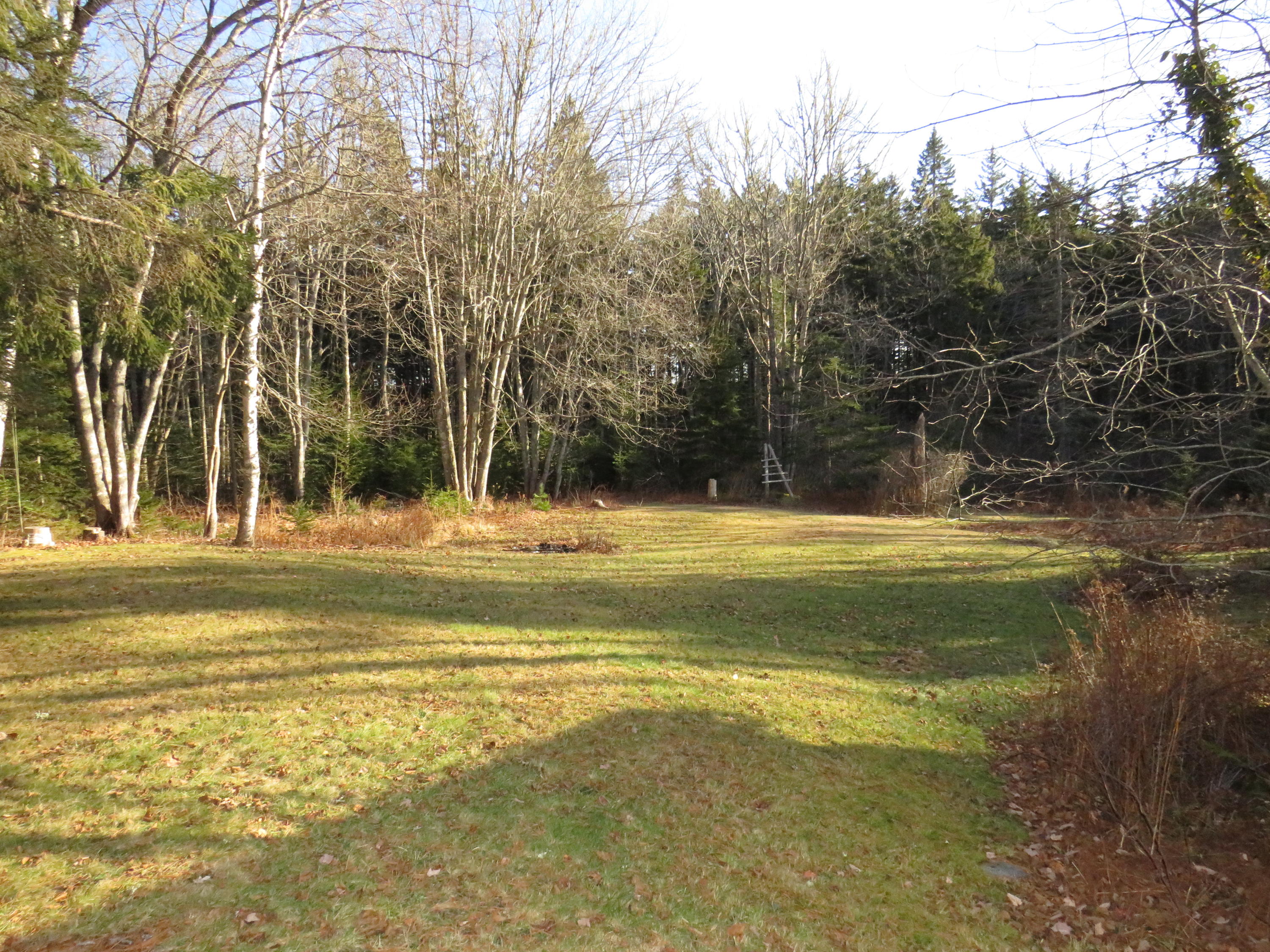 116 Glenmere Road St. George, ME 04860 - Photo 17 of 23 private back yard