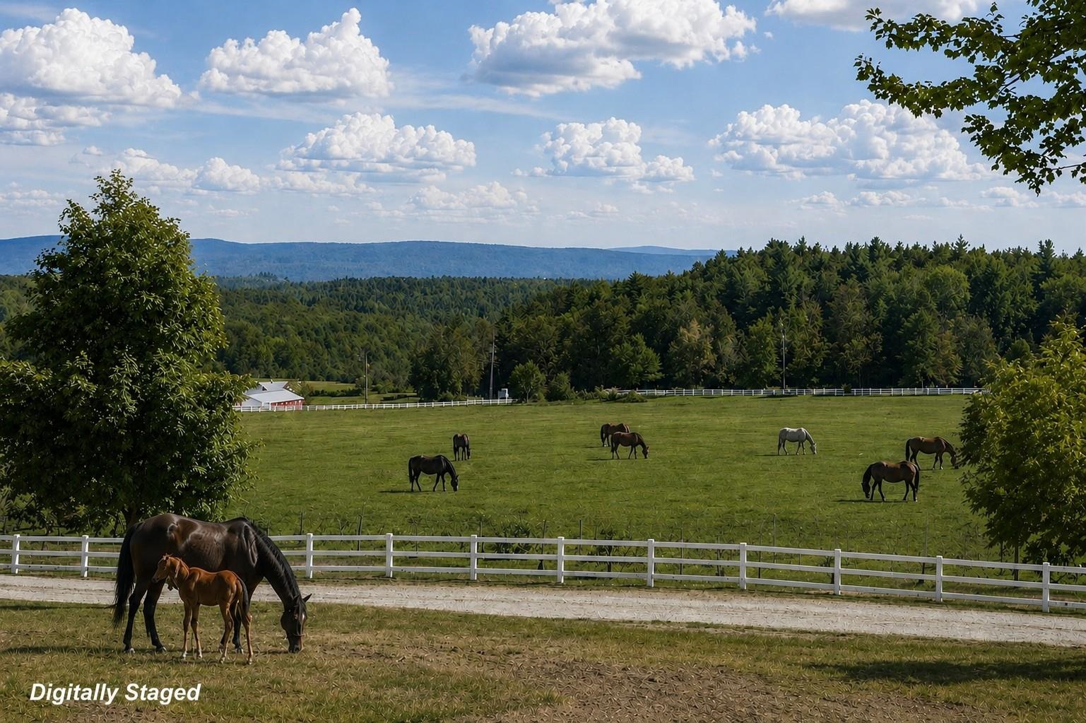 1950 Collins Road Halifax, VT 05301 - Photo 44 of 59 Gallery Image 44