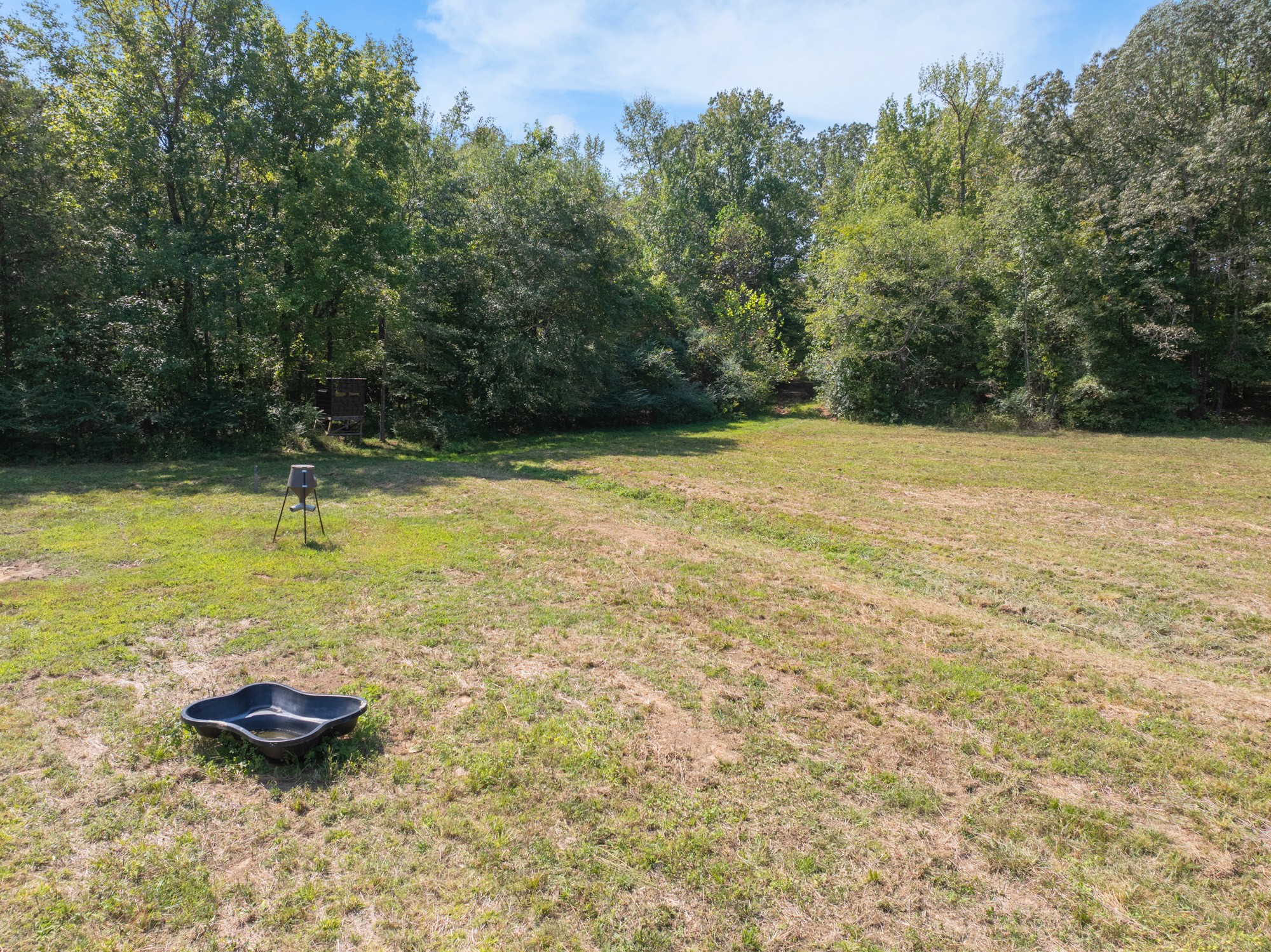 139 Utah Road Decaturville, TN 38329 - Photo 12 of 39 Gallery Image 12