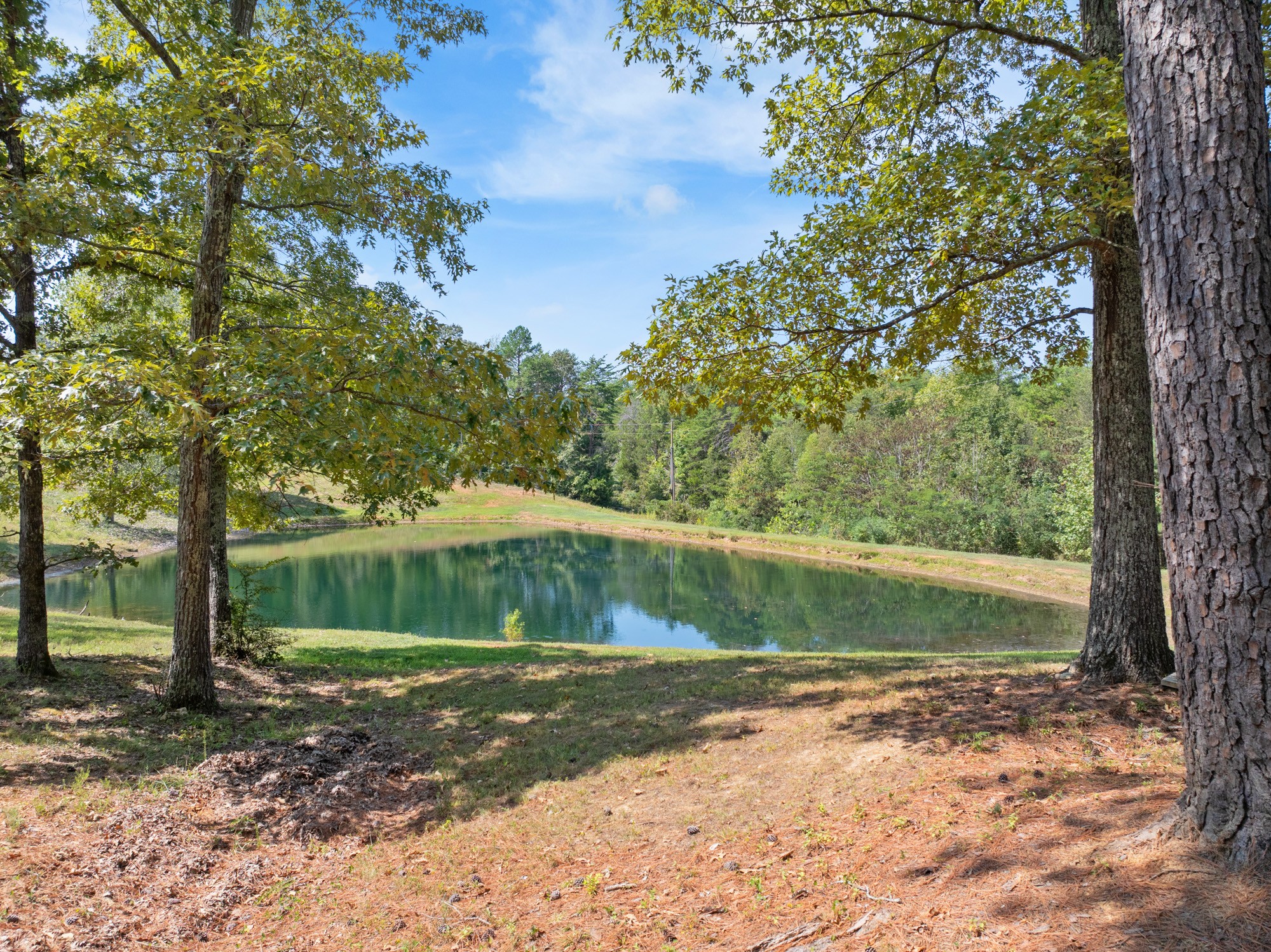 139 Utah Road Decaturville, TN 38329 - Photo 18 of 39 Gallery Image 18