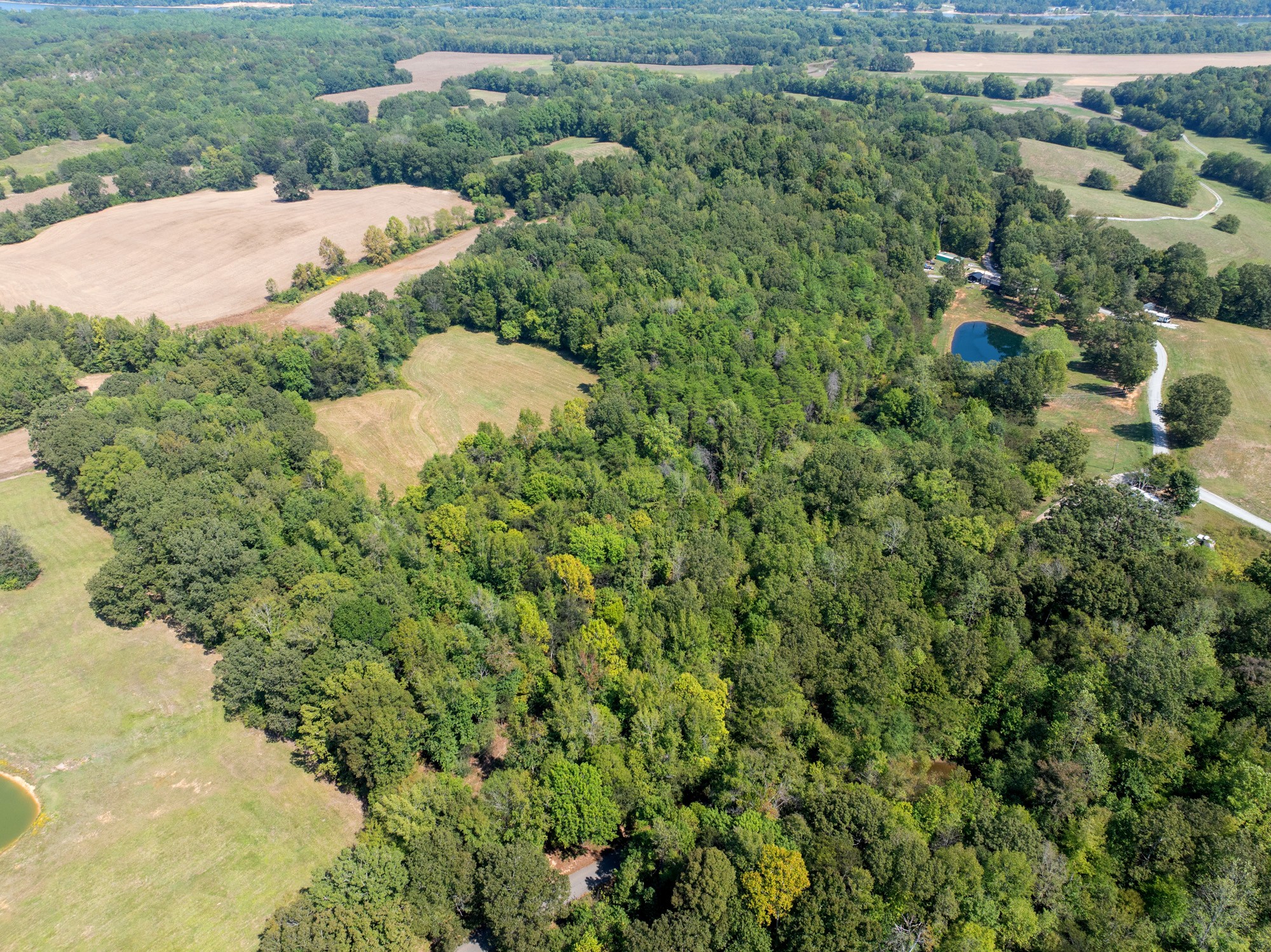 139 Utah Road Decaturville, TN 38329 - Photo 2 of 39 Gallery Image 2