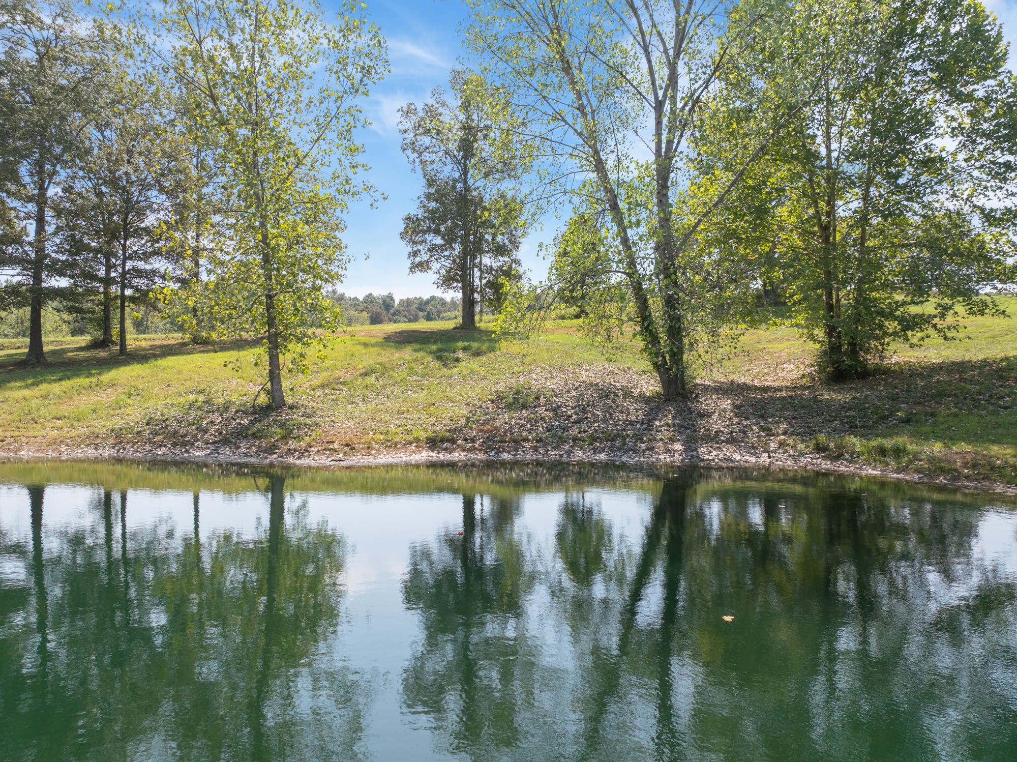 139 Utah Road Decaturville, TN 38329 - Photo 23 of 39 Gallery Image 23