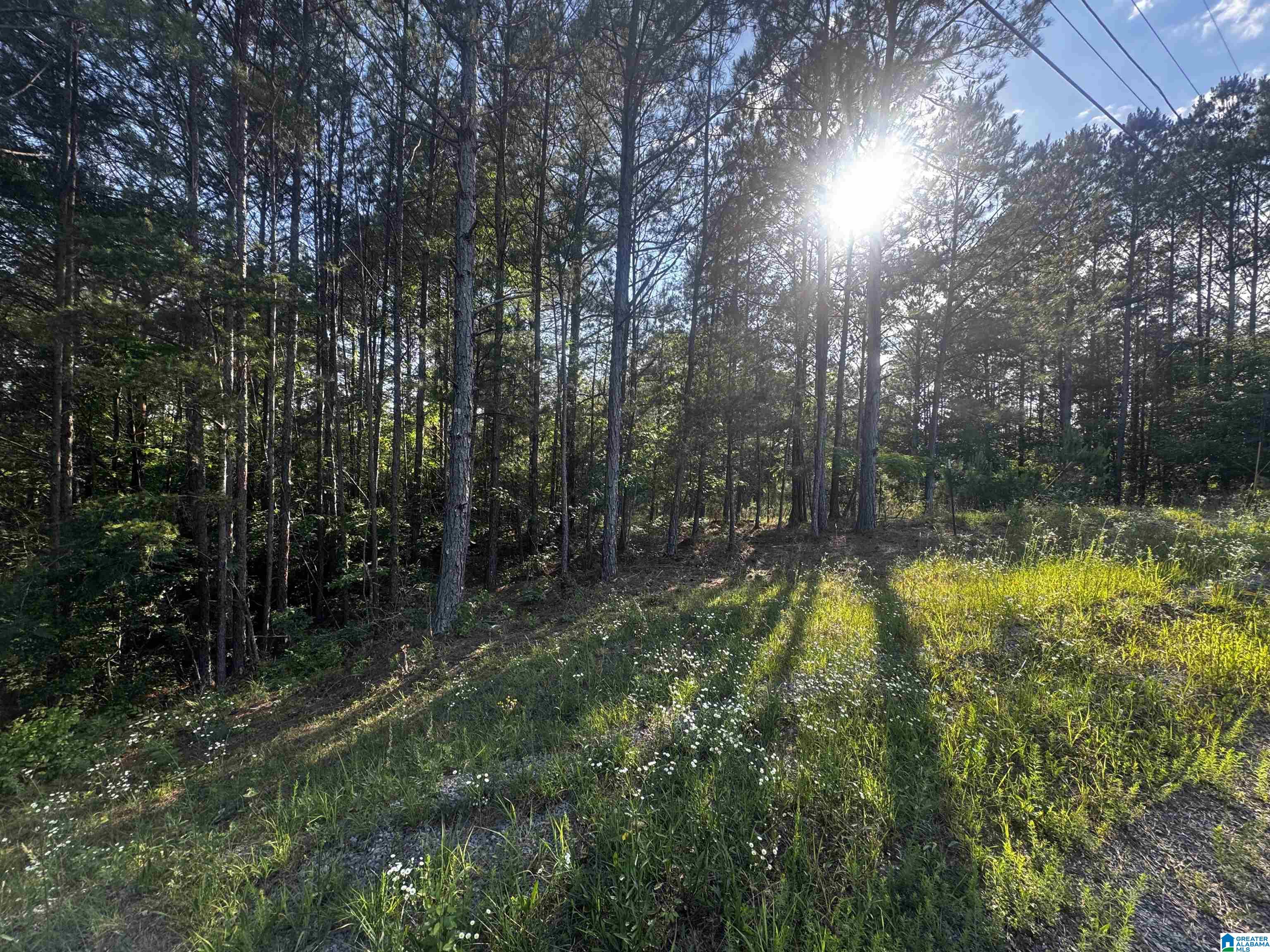 0 Mallard Point, Unit 6 Warrior, AL 35180 - Photo 7 of 13