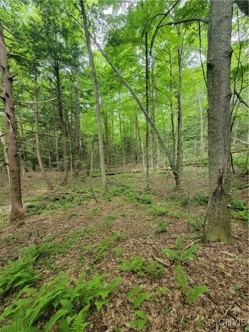 $50,000 | Keppy Carr Road, Williamstown, NY 13493
