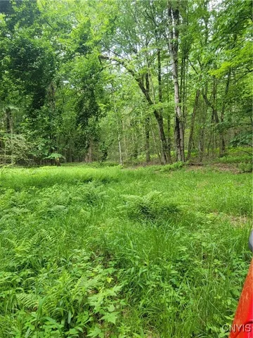 $50,000 | Keppy Carr Road, Williamstown, NY 13493