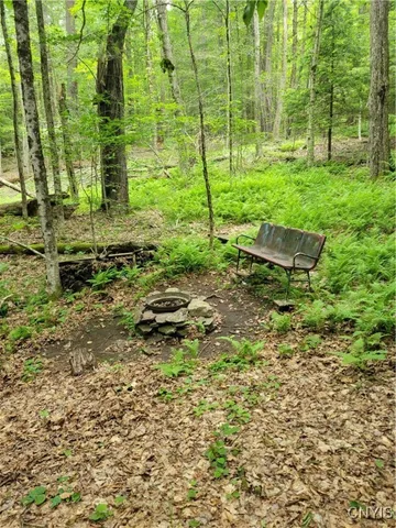 $50,000 | Keppy Carr Road, Williamstown, NY 13493