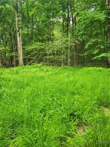 $50,000 | Keppy Carr Road, Williamstown, NY 13493