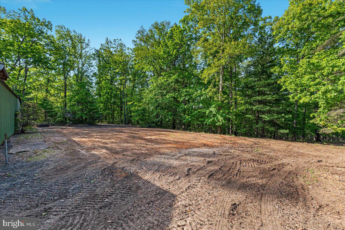 146 Lizzie Mills Road Castleton, VA 22716 - Photo 68 of 91 a view of a yard with a tree