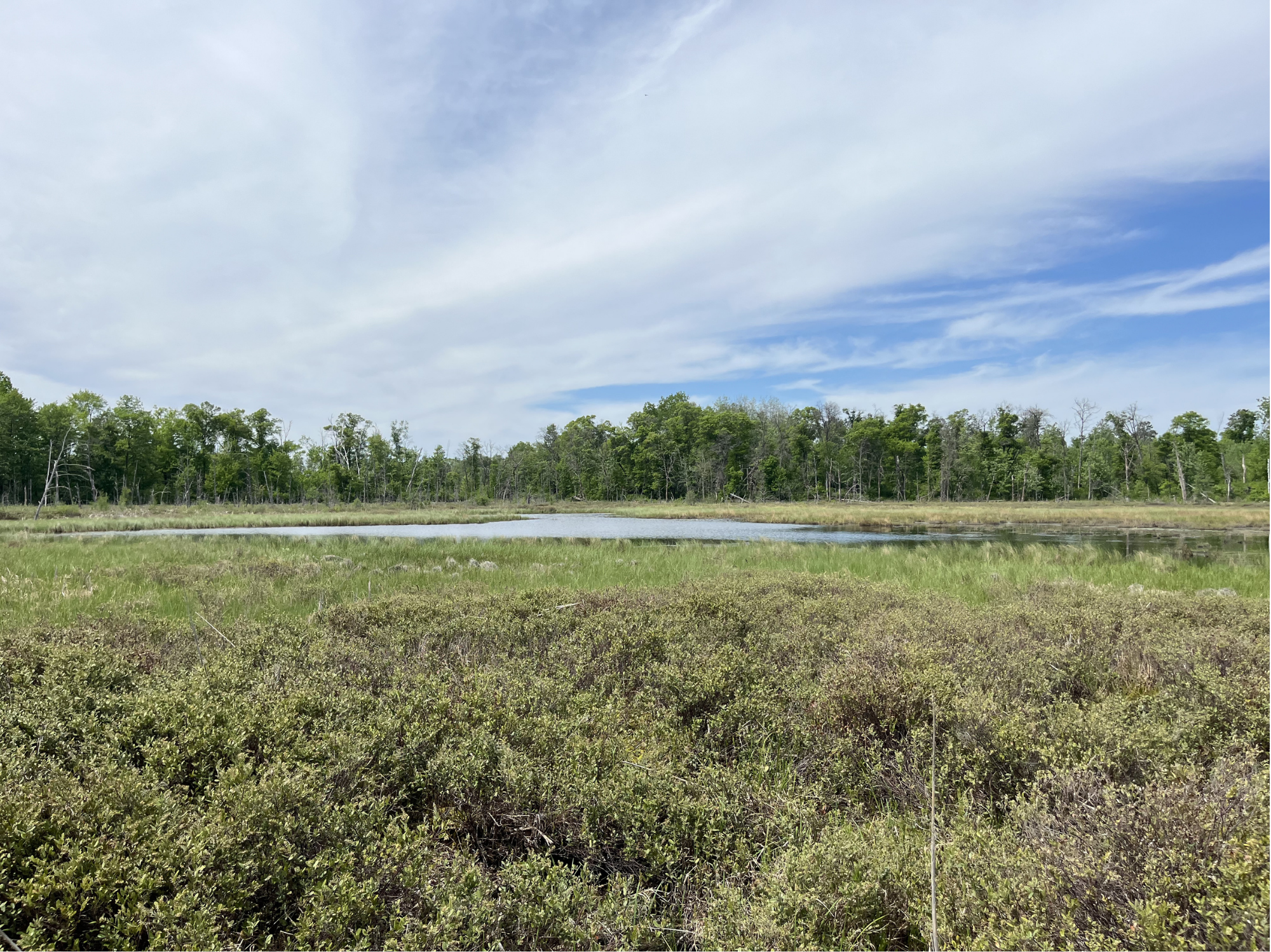 13384 Sorenson Lake Road Merrifield, MN 56465 - Photo 45 of 45