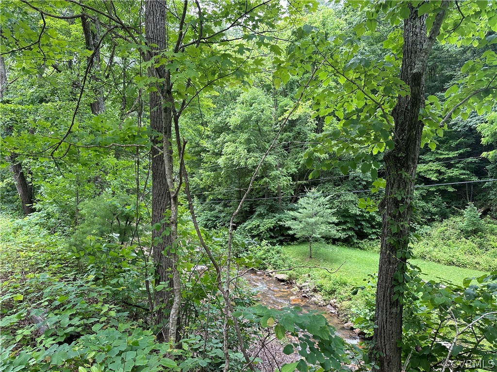 0 Roaring Run Road Eagle Rock, VA 24085 - Photo 1 of 6 Gallery Image 1
