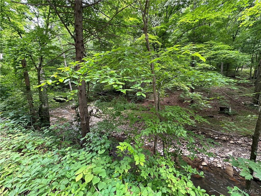 0 Roaring Run Road Eagle Rock, VA 24085 - Photo 2 of 6 Gallery Image 2