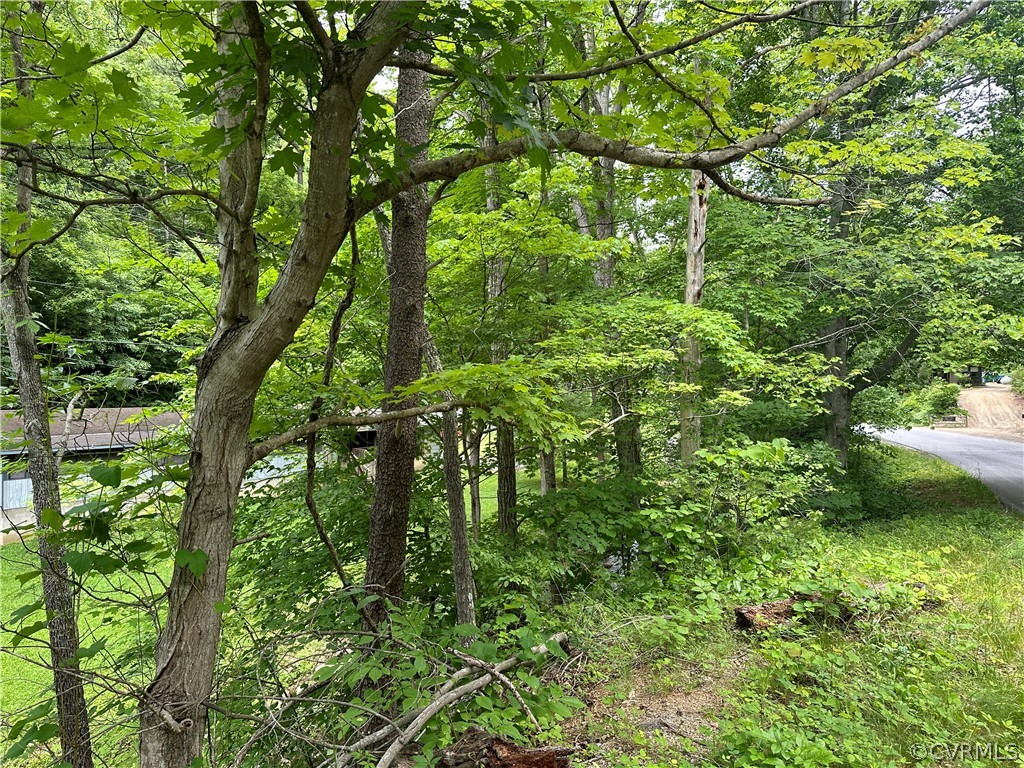 0 Roaring Run Road Eagle Rock, VA 24085 - Photo 3 of 6 Gallery Image 3